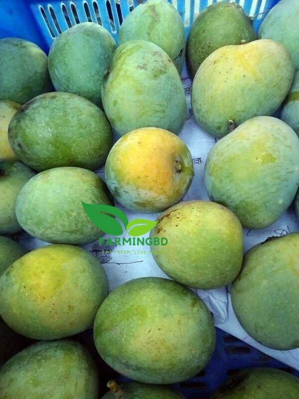 গোপাল ভোগ - Gopalvog Mango organicfarmingbd.com.com