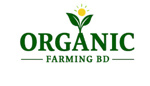 LogoMain transparent