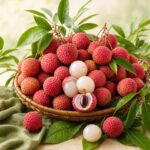 Organic Farming BD lychee category cover optimized