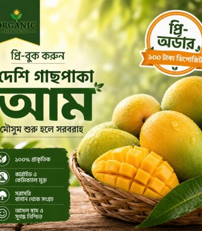 দেশি গাছপাকা আম প্রি-অর্ডার প্রতি কেজি - Organic Farming BD