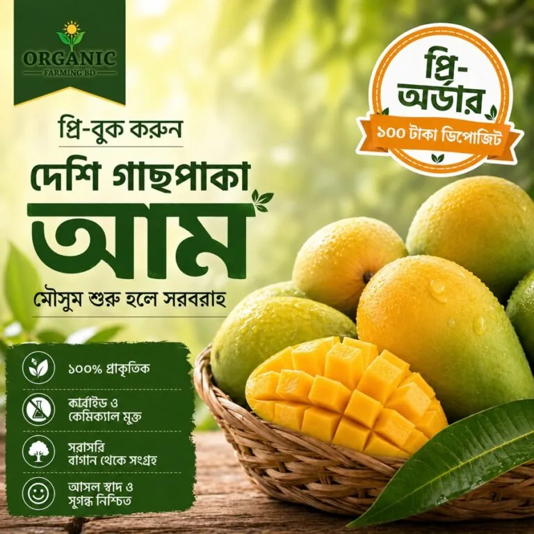 দেশি গাছপাকা আম প্রি-অর্ডার প্রতি কেজি - Organic Farming BD