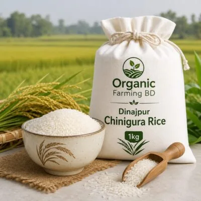 দিনাজপুরের চিনিগুড়া চাল ১ কেজি - Organic Farming BD