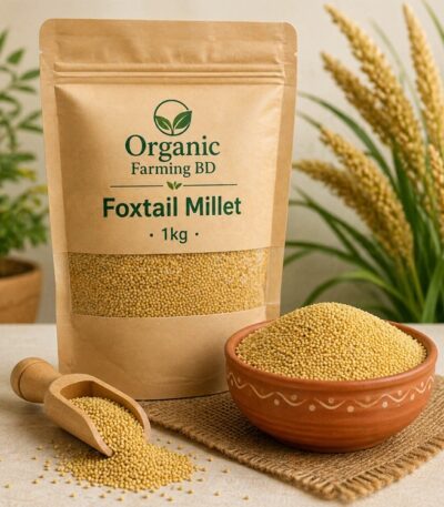 কাউনের চাল ফক্সটেল মিলেট ১ কেজি - Organic Farming BD