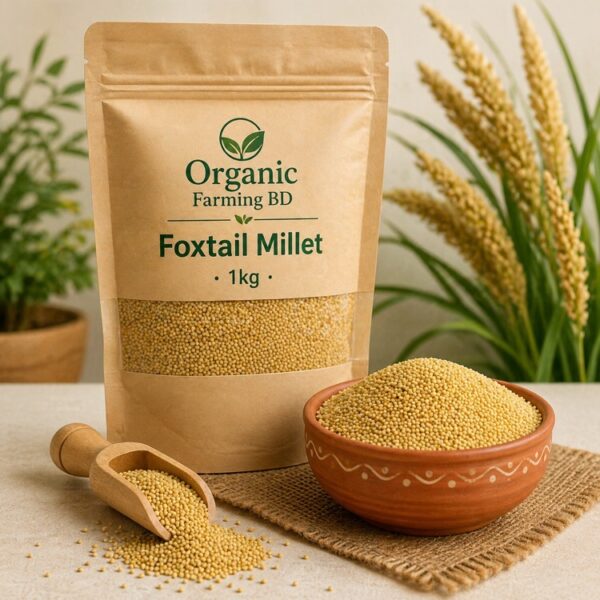 কাউনের চাল ফক্সটেল মিলেট ১ কেজি - Organic Farming BD