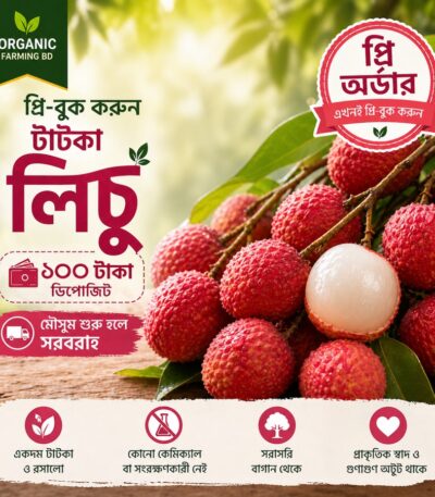টাটকা লিচু প্রি-অর্ডার প্রতি ১০০ পিস - Organic Farming BD