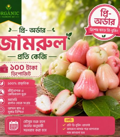 জামরুল প্রি-অর্ডার প্রতি কেজি - Organic Farming BD
