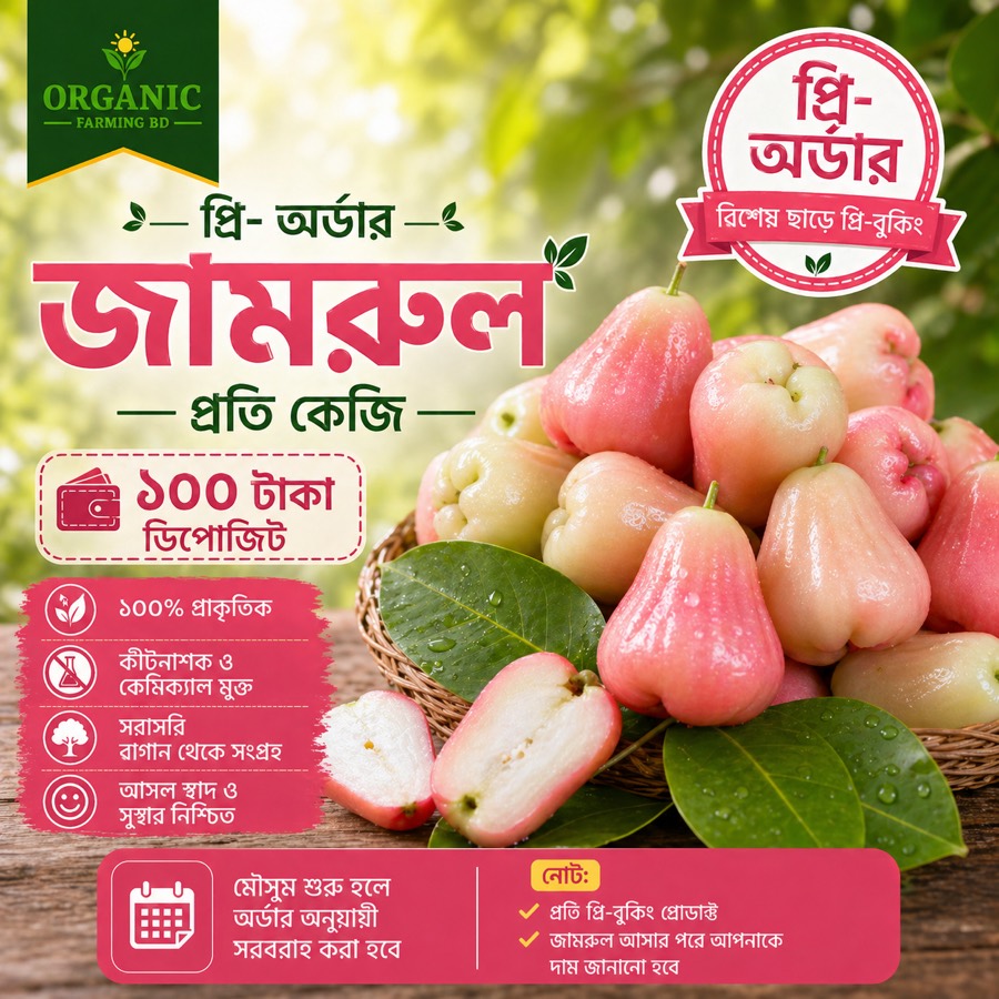 জামরুল প্রি-অর্ডার প্রতি কেজি - Organic Farming BD
