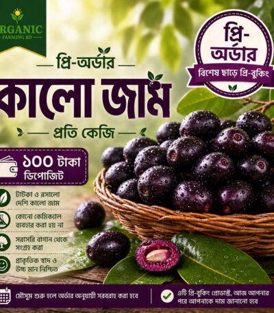 কালো জাম প্রি-অর্ডার প্রতি কেজি - Organic Farming BD