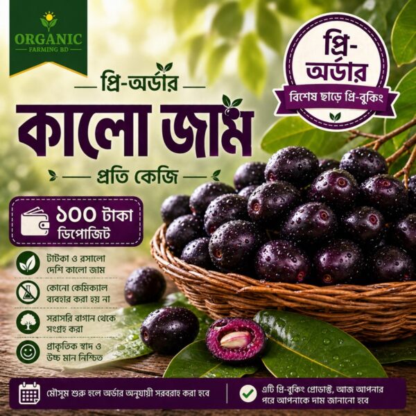 কালো জাম প্রি-অর্ডার প্রতি কেজি - Organic Farming BD