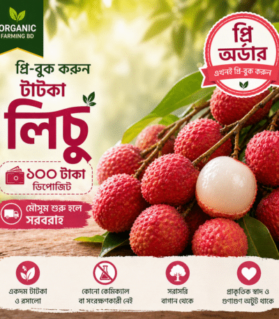 টাটকা লিচু - প্রি-অর্ডার (প্রতি ১০০ পিস)