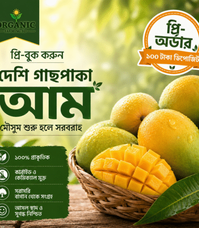 দেশি গাছপাকা আম - প্রি-অর্ডার (প্রতি কেজি)