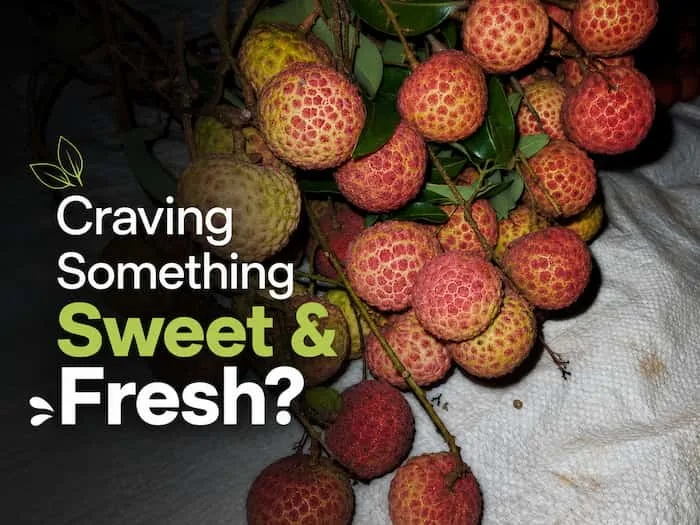CravingSweetAndFresh