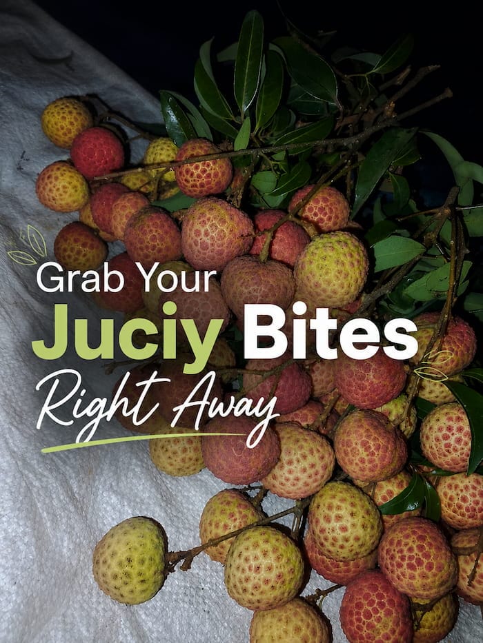 GrabYourJuciBites